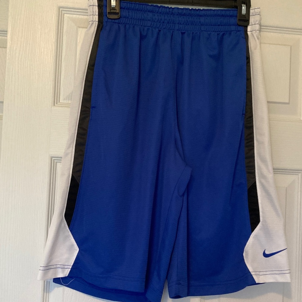 Nike Blue and White Men's Shorts